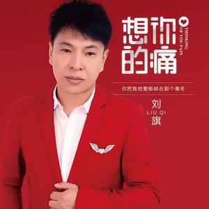 回家的路(dj版 刘旗 qq音乐-千万正版音乐海量无损曲库新歌热歌