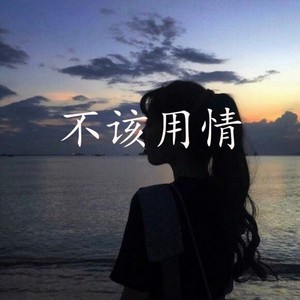 不该用情抒情版