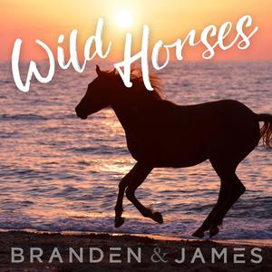 wild horses - branden & james - qq音乐-千万正版曲