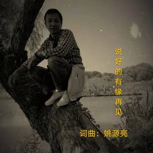 说好的有缘再见 姚源亮 qq音乐-千万正版音乐海量无损曲库新歌热