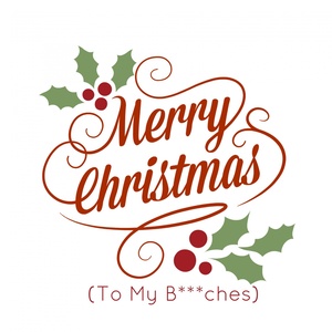 merrychristmastomybhes