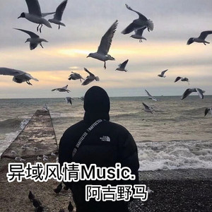 lalaladeepaj - 阿吉野马 - qq音乐-千万正版音乐海量