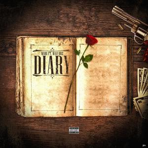 diary (explicit)