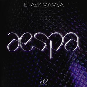 black mamba舞台背景,blackpink舞台背景 blackmamba