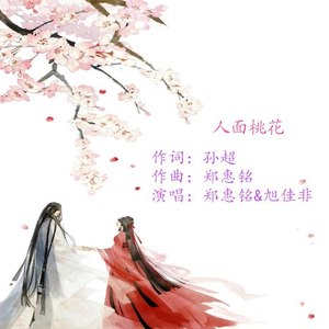 歌词复制人面桃花作词:孙超作曲:郑惠铭演唱:郑惠铭&旭佳非那年四月