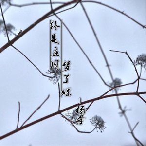终是庄周梦了蝶