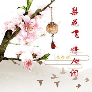 梨花飞情人泪dj版