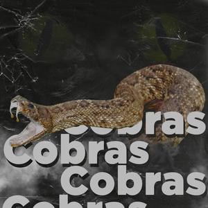 cobras(explicit)