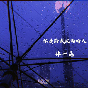 你是陪我风雨的人