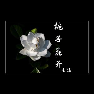 栀子花开