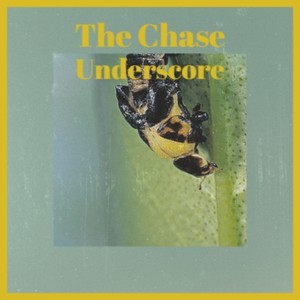 专辑:the chase underscore 语种 其他 流派 唱片公司 audio