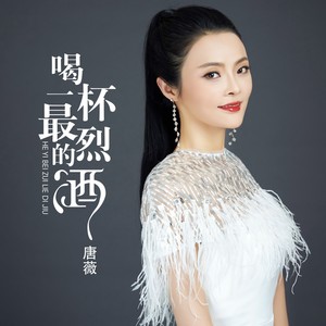 喝一杯最烈的酒 (dj何鹏版) - 唐薇 - qq音乐-千万曲.