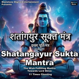 shatangayur sukta mantra 11 times chanting(the wish fulfilling