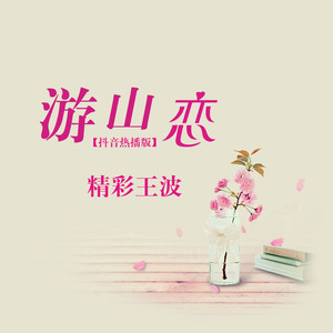 专辑:游山恋(抖音热播版) 语种:  纯音乐  流派: pop  唱片公司