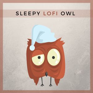 sleepylofiowl