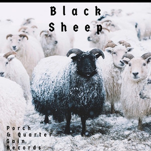 blacksheepexplicit