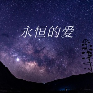 永恒的爱db调
