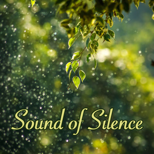 soundofsilencenaturescapesserenitymusicnaturerelaxation