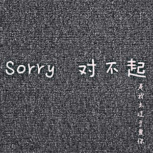 sorry对不起dj版