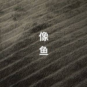 浩的翻唱像鱼