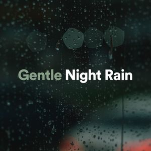 gentle night rain