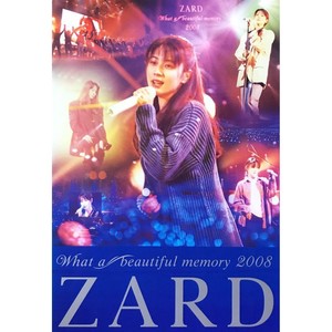 zard what a beautiful memory 2008