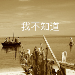 我不知道怎么做才算好