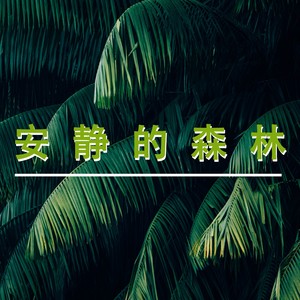 专辑:安静的森林丨睡前的冥想和瑜伽音乐为了深度睡眠 语种:  纯音乐