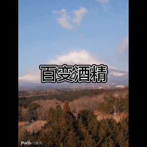 专辑:百变酒精 语种:  纯音乐  流派: pop  唱片公司: 依迪艾姆