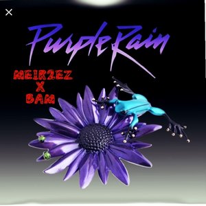 purplerainexplicit