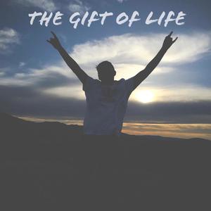 公司:eagle records类型:single播放全部更多歌曲歌手时长1the gift