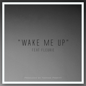 2018-05-04播放智能曲谱收藏评论(252)更多歌词复制wake me up