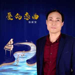 爱的恋曲 张家宝 qq音乐-千万正版音乐海量无损曲库新歌热歌天天