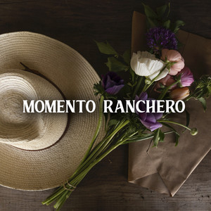 专辑:momento ranchero 语种: 西班牙语  流派: latin  唱片公司: umg