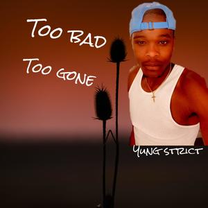 too bad too gone (explicit)