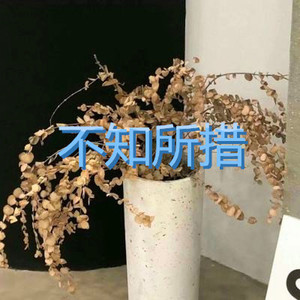 李熙熙专辑:不知所措语种:纯音乐流派:pop唱片公司:菱头阳发行时间