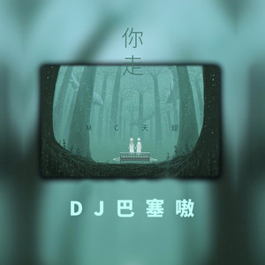 你走(dj巴塞嗷版)