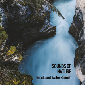 专辑:sounds of nature: brook and water sounds 语种:  英语  流派