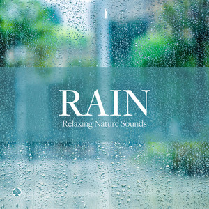 light rain(nature sound)