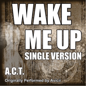 wakemeupinstrumentalversion