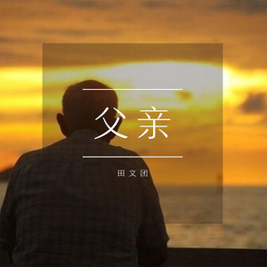 田文团专辑:父亲语种:国语流派:pop唱片公司:金曲文化发行时间:2020