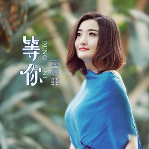 等你- 云菲菲 - qq音乐-千万正版音乐海量无损曲库新歌热歌天天畅听的