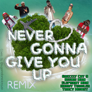 never gonna give you up (remix)