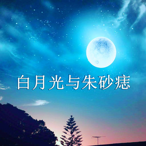 白月光与朱砂痣dj咚鼓版