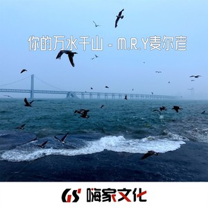 你的万水千山remix