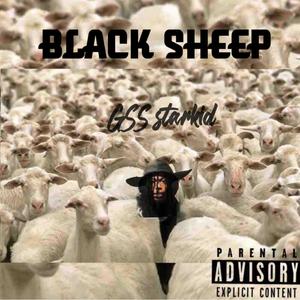 blacksheepexplicit