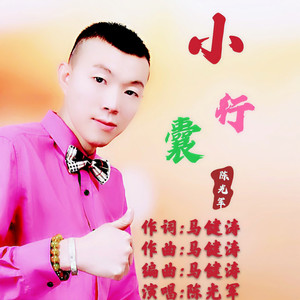 小行囊dj版