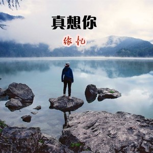 真想你demo