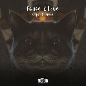 peace & love (feat. jhon taylor)