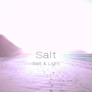 summer - salt - qq音乐-千万正版音乐海量无损曲库新歌热歌天天畅听